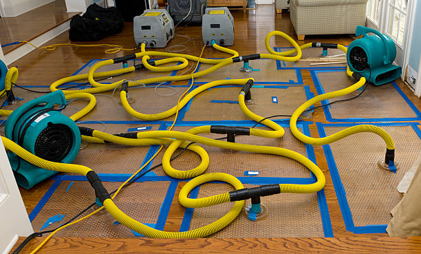 Professional Structural Drying And Dehumidification technician working in Pompton Plains, NJ